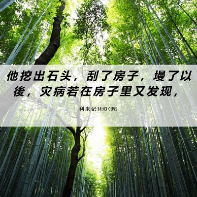 Picture 06 - 利 未 记 14:43 CUVS - 他 挖 出 石 头 ， 刮 了 房 子 ， 墁 - Bible Verse Picture