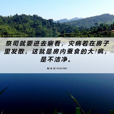 Picture 06 - 利 未 记 14:44 CUVS - 祭 司 就 要 进 去 察 看 ， 灾 病 若 - Bible Verse Picture