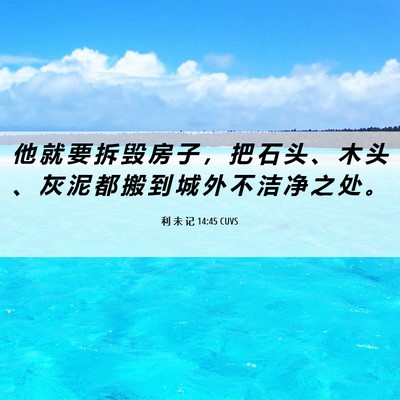 Picture 06 - 利 未 记 14:45 CUVS - 他 就 要 拆 毁 房 子 ， 把 石 头 、 - Bible Verse Picture