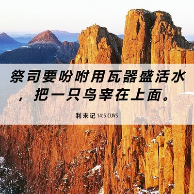 Picture 06 - 利 未 记 14:5 CUVS - 祭 司 要 吩 咐 用 瓦 器 盛 活 水 ， - Bible Verse Picture