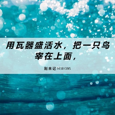 Picture 06 - 利 未 记 14:50 CUVS - 用 瓦 器 盛 活 水 ， 把 一 只 鸟 宰 - Bible Verse Picture