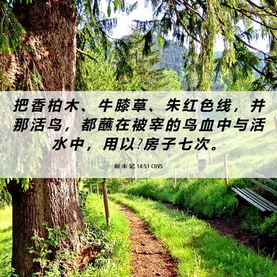 Picture 06 - 利 未 记 14:51 CUVS - 把 香 柏 木 、 牛 膝 草 、 朱 红 色 - Bible Verse Picture