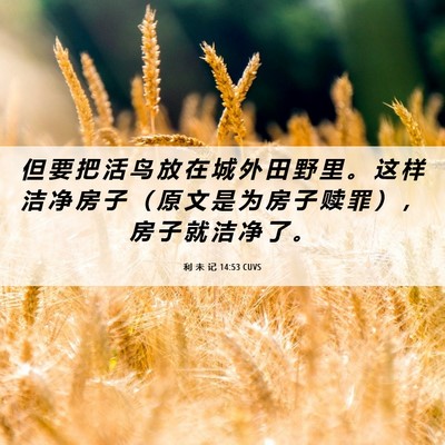 Picture 06 - 利 未 记 14:53 CUVS - 但 要 把 活 鸟 放 在 城 外 田 野 里 - Bible Verse Picture