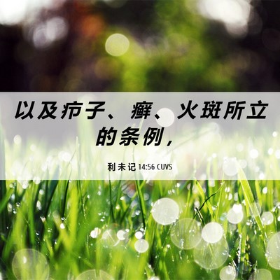 Picture 06 - 利 未 记 14:56 CUVS - 以 及 疖 子 、 癣 、 火 斑 所 立 的 - Bible Verse Picture