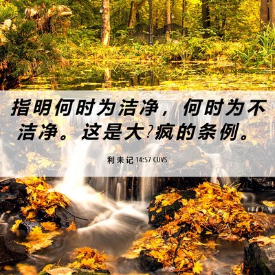 Picture 06 - 利 未 记 14:57 CUVS - 指 明 何 时 为 洁 净 ， 何 时 为 不 - Bible Verse Picture