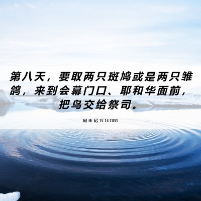 Picture 06 - 利 未 记 15:14 CUVS - 第 八 天 ， 要 取 两 只 斑 鸠 或 是 - Bible Verse Picture