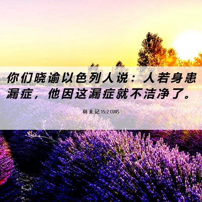 Picture 06 - 利 未 记 15:2 CUVS - 你 们 晓 谕 以 色 列 人 说 ： 人 若 - Bible Verse Picture