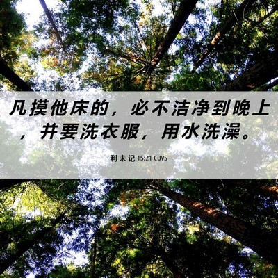 Picture 06 - 利 未 记 15:21 CUVS - 凡 摸 他 床 的 ， 必 不 洁 净 到 晚 - Bible Verse Picture