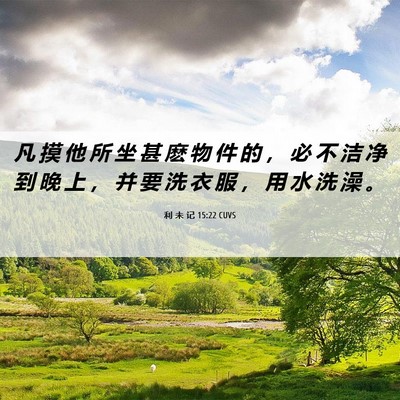 Picture 06 - 利 未 记 15:22 CUVS - 凡 摸 他 所 坐 甚 麽 物 件 的 ， 必 - Bible Verse Picture