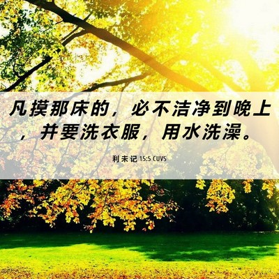 Picture 06 - 利 未 记 15:5 CUVS - 凡 摸 那 床 的 ， 必 不 洁 净 到 晚 - Bible Verse Picture