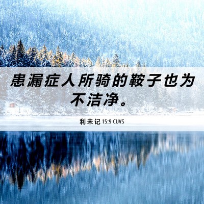 Picture 06 - 利 未 记 15:9 CUVS - 患 漏 症 人 所 骑 的 鞍 子 也 为 不 - Bible Verse Picture