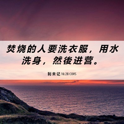 Picture 06 - 利 未 记 16:28 CUVS - 焚 烧 的 人 要 洗 衣 服 ， 用 水 洗 - Bible Verse Picture