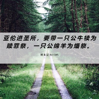 Picture 06 - 利 未 记 16:3 CUVS - 亚 伦 进 圣 所 ， 要 带 一 只 公 牛 - Bible Verse Picture
