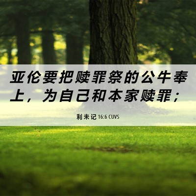 Picture 06 - 利 未 记 16:6 CUVS - 亚 伦 要 把 赎 罪 祭 的 公 牛 奉 上 - Bible Verse Picture
