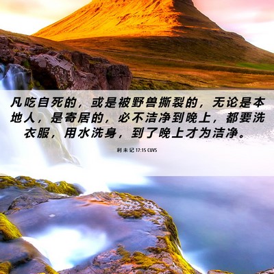 Picture 06 - 利 未 记 17:15 CUVS - 凡 吃 自 死 的 ， 或 是 被 野 兽 撕 - Bible Verse Picture