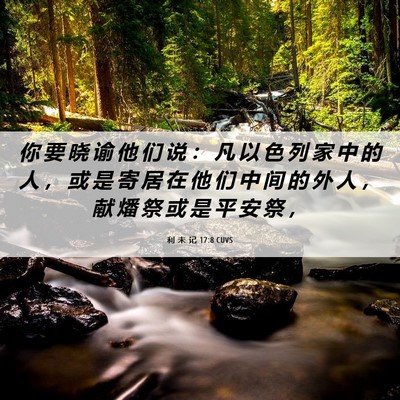 Picture 06 - 利 未 记 17:8 CUVS - 你 要 晓 谕 他 们 说 ： 凡 以 色 列 - Bible Verse Picture