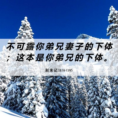 Picture 06 - 利 未 记 18:16 CUVS - 不 可 露 你 弟 兄 妻 子 的 下 体 ； - Bible Verse Picture