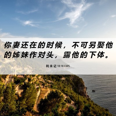 Picture 06 - 利 未 记 18:18 CUVS - 你 妻 还 在 的 时 候 ， 不 可 另 娶 - Bible Verse Picture