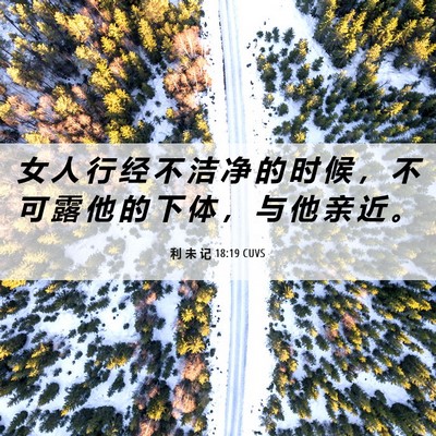 Picture 06 - 利 未 记 18:19 CUVS - 女 人 行 经 不 洁 净 的 时 候 ， 不 - Bible Verse Picture