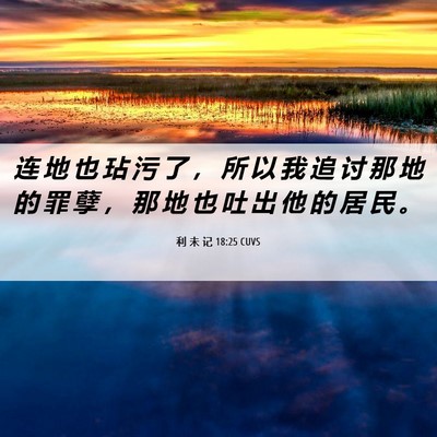 Picture 06 - 利 未 记 18:25 CUVS - 连 地 也 玷 污 了 ， 所 以 我 追 讨 - Bible Verse Picture