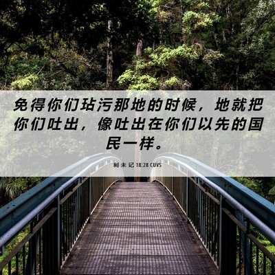 Picture 06 - 利 未 记 18:28 CUVS - 免 得 你 们 玷 污 那 地 的 时 候 ， - Bible Verse Picture