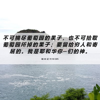 Picture 06 - 利 未 记 19:10 CUVS - 不 可 摘 尽 葡 萄 园 的 果 子 ， 也 - Bible Verse Picture