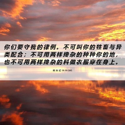Picture 06 - 利 未 记 19:19 CUVS - 你 们 要 守 我 的 律 例 。 不 可 叫 - Bible Verse Picture