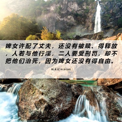 Picture 06 - 利 未 记 19:20 CUVS - 婢 女 许 配 了 丈 夫 ， 还 没 有 被 - Bible Verse Picture