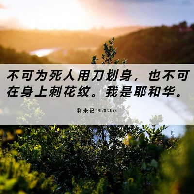 Picture 06 - 利 未 记 19:28 CUVS - 不 可 为 死 人 用 刀 划 身 ， 也 不 - Bible Verse Picture