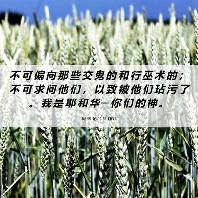 Picture 06 - 利 未 记 19:31 CUVS - 不 可 偏 向 那 些 交 鬼 的 和 行 巫 - Bible Verse Picture