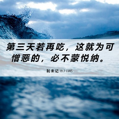 Picture 06 - 利 未 记 19:7 CUVS - 第 三 天 若 再 吃 ， 这 就 为 可 憎 - Bible Verse Picture