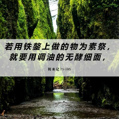 Picture 06 - 利 未 记 2:5 CUVS - 若 用 铁 鏊 上 做 的 物 为 素 祭 ， - Bible Verse Picture