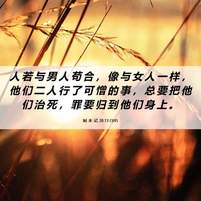 Picture 06 - 利 未 记 20:13 CUVS - 人 若 与 男 人 苟 合 ， 像 与 女 人 - Bible Verse Picture