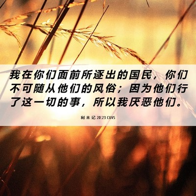 Picture 06 - 利 未 记 20:23 CUVS - 我 在 你 们 面 前 所 逐 出 的 国 民 - Bible Verse Picture