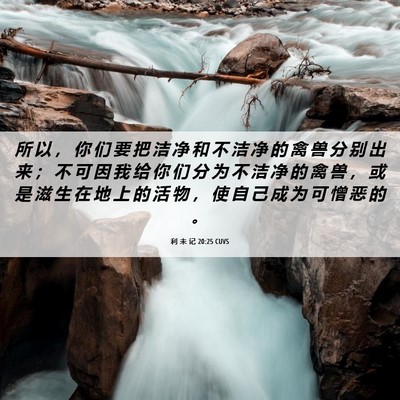 Picture 06 - 利 未 记 20:25 CUVS - 所 以 ， 你 们 要 把 洁 净 和 不 洁 - Bible Verse Picture