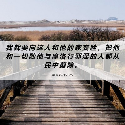 Picture 06 - 利 未 记 20:5 CUVS - 我 就 要 向 这 人 和 他 的 家 变 脸 - Bible Verse Picture