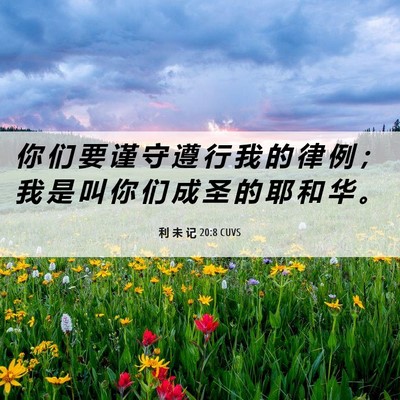 Picture 06 - 利 未 记 20:8 CUVS - 你 们 要 谨 守 遵 行 我 的 律 例 ； - Bible Verse Picture