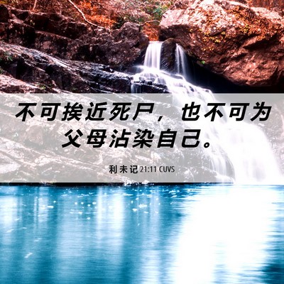 Picture 06 - 利 未 记 21:11 CUVS - 不 可 挨 近 死 尸 ， 也 不 可 为 父 - Bible Verse Picture