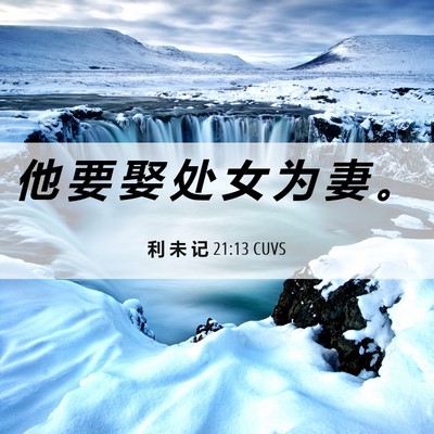 Picture 06 - 利 未 记 21:13 CUVS - 他 要 娶 处 女 为 妻 - Bible Verse Picture