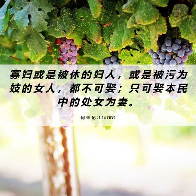 Picture 06 - 利 未 记 21:14 CUVS - 寡 妇 或 是 被 休 的 妇 人 ， 或 是 - Bible Verse Picture