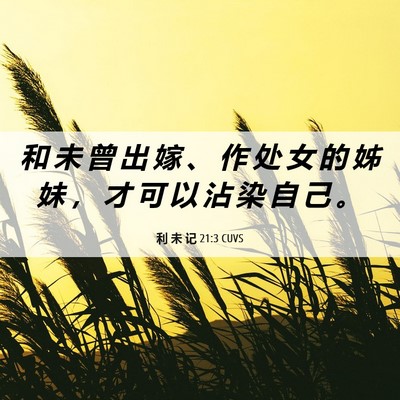 Picture 06 - 利 未 记 21:3 CUVS - 和 未 曾 出 嫁 、 作 处 女 的 姊 妹 - Bible Verse Picture