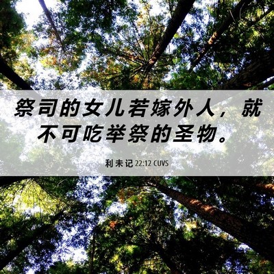 Picture 06 - 利 未 记 22:12 CUVS - 祭 司 的 女 儿 若 嫁 外 人 ， 就 不 - Bible Verse Picture