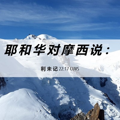 Picture 06 - 利 未 记 22:17 CUVS - 耶 和 华 对 摩 西 说 - Bible Verse Picture