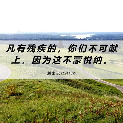 Picture 06 - 利 未 记 22:20 CUVS - 凡 有 残 疾 的 ， 你 们 不 可 献 上 - Bible Verse Picture
