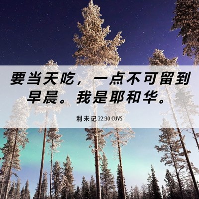 Picture 06 - 利 未 记 22:30 CUVS - 要 当 天 吃 ， 一 点 不 可 留 到 早 - Bible Verse Picture