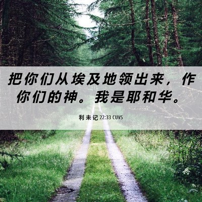 Picture 06 - 利 未 记 22:33 CUVS - 把 你 们 从 埃 及 地 领 出 来 ， 作 - Bible Verse Picture