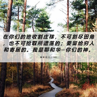 Picture 06 - 利 未 记 23:22 CUVS - 在 你 们 的 地 收 割 庄 稼 ， 不 可 - Bible Verse Picture