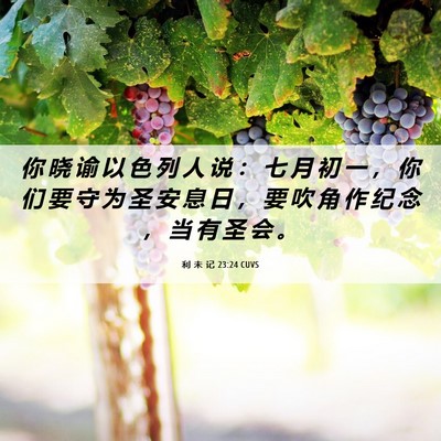 Picture 06 - 利 未 记 23:24 CUVS - 你 晓 谕 以 色 列 人 说 ： 七 月 初 - Bible Verse Picture