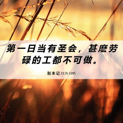 Picture 06 - 利 未 记 23:35 CUVS - 第 一 日 当 有 圣 会 ， 甚 麽 劳 碌 - Bible Verse Picture