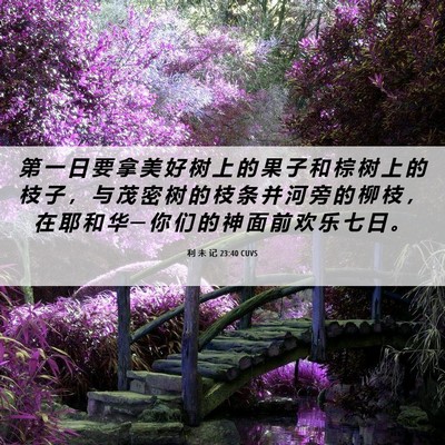 Picture 06 - 利 未 记 23:40 CUVS - 第 一 日 要 拿 美 好 树 上 的 果 子 - Bible Verse Picture